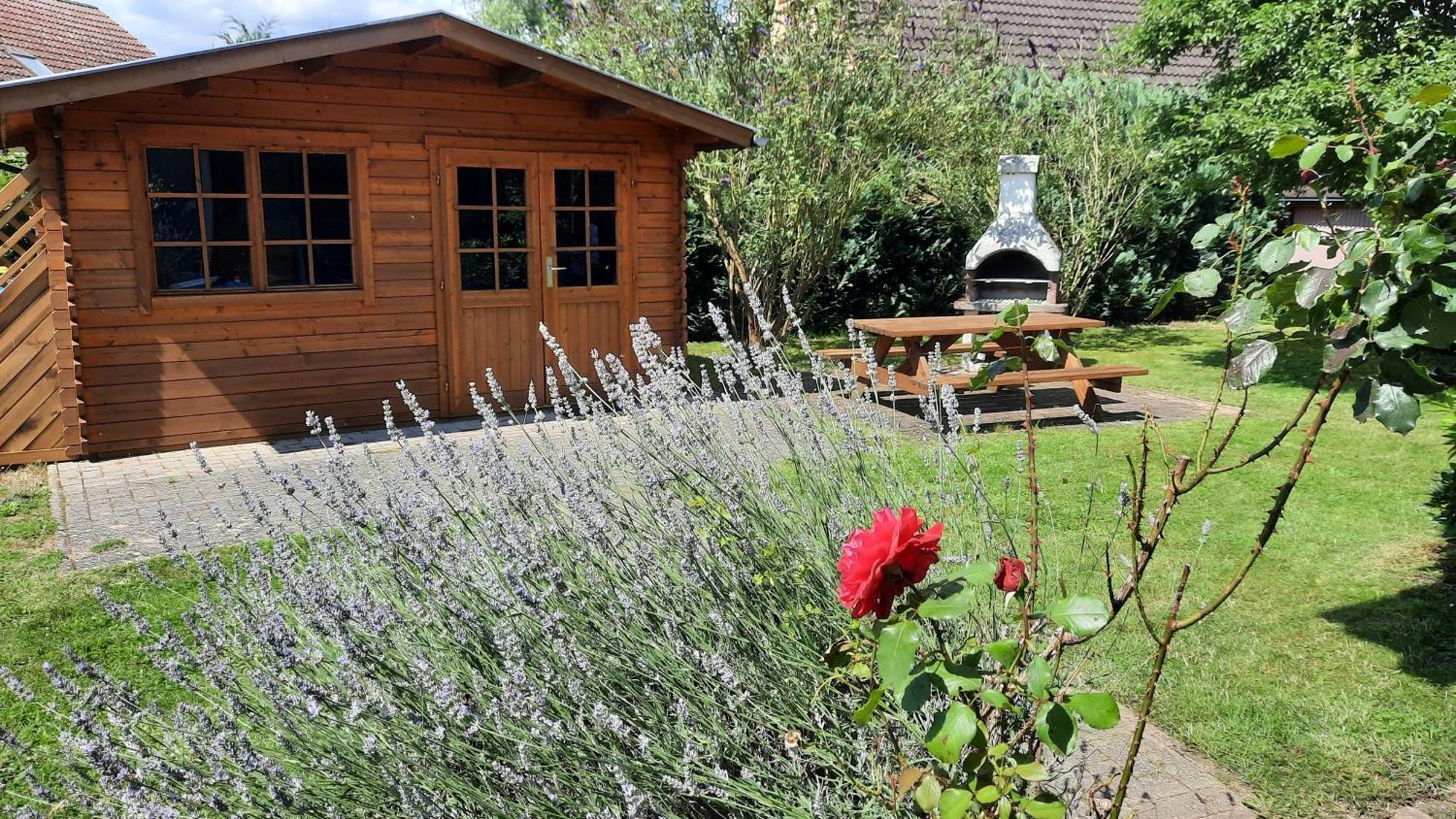 Ferienhaus Sasse Ferienwohnungen Mit Garten & Grill Molschow Exterior photo